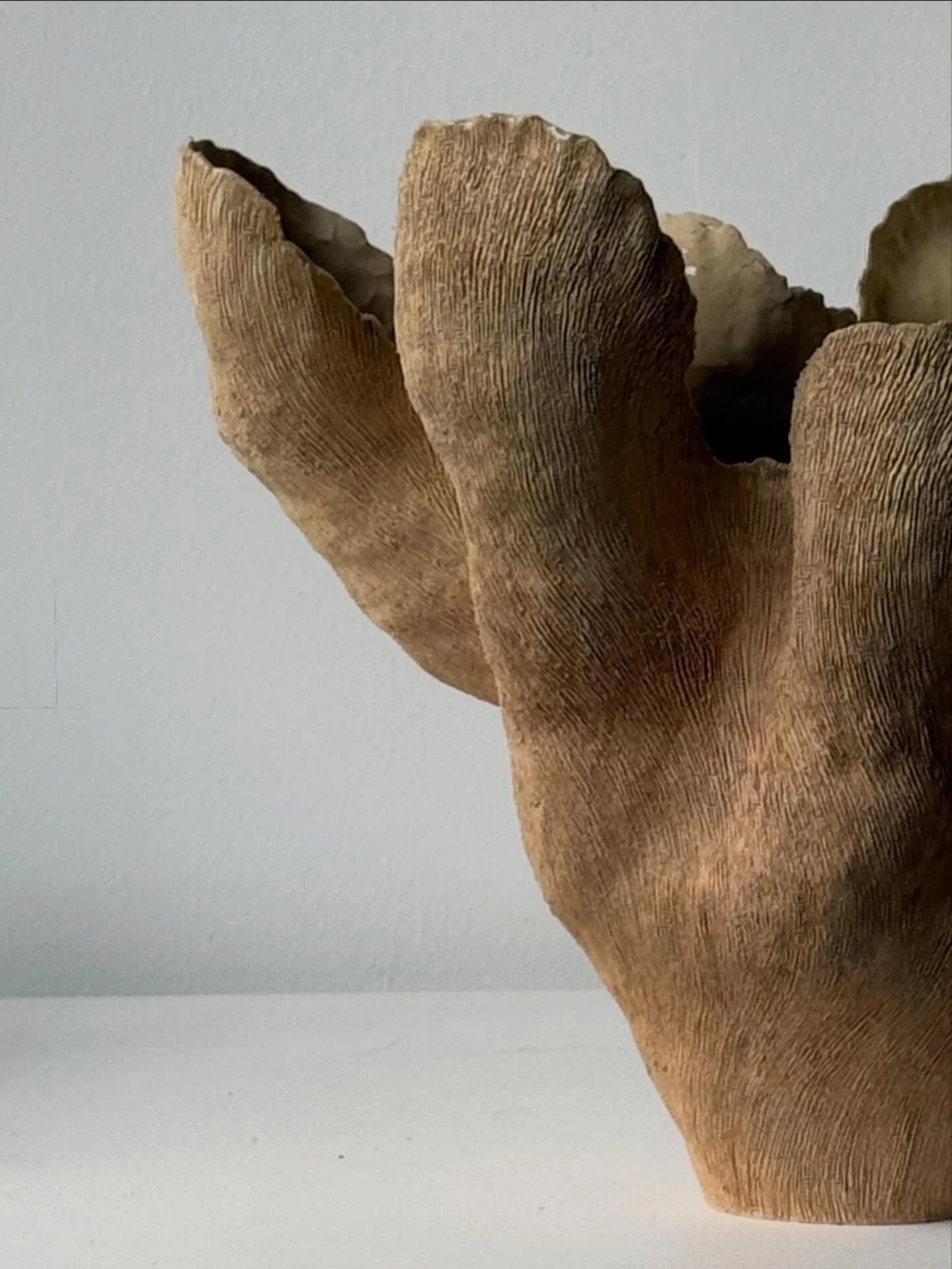 🤎
recently fired piece from a series I have been working on emphasizing materiality, balance thru asymmetry, and flow..🥀
#inthestudio #taniawhalenceramics
.
.
.
.
.
 #nyc
#ceramicsculpture 
#ceramicart