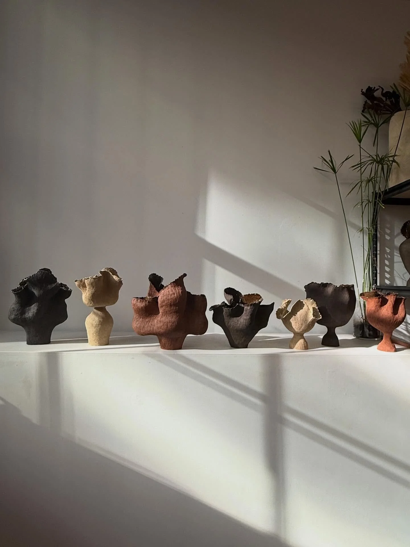 🤎 some lovely light&hellip;
work from the frutti di mare collection &amp; bud bloom series 🥀 
#inthestudio #springsoon
.
.
.
.
#taniawhalenceramics #ceramicart #sculpture