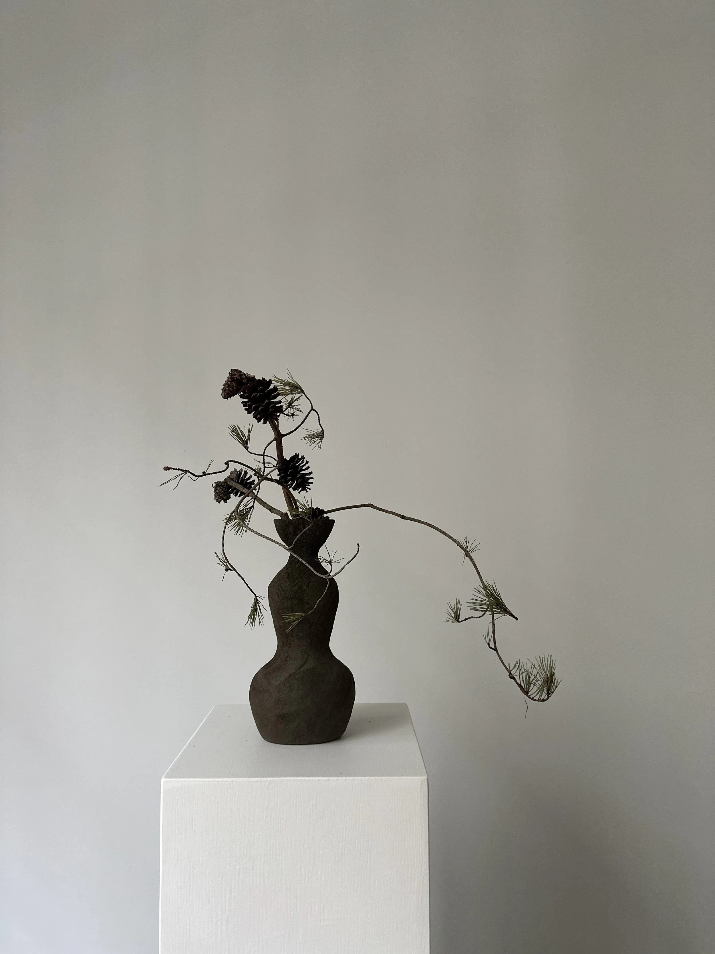 the kapok x kajiha botanicals l.JPG