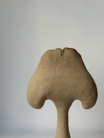 702AF3B3-BB90-49C1-847D-8B85352E2808_4_5005_c.jpeg