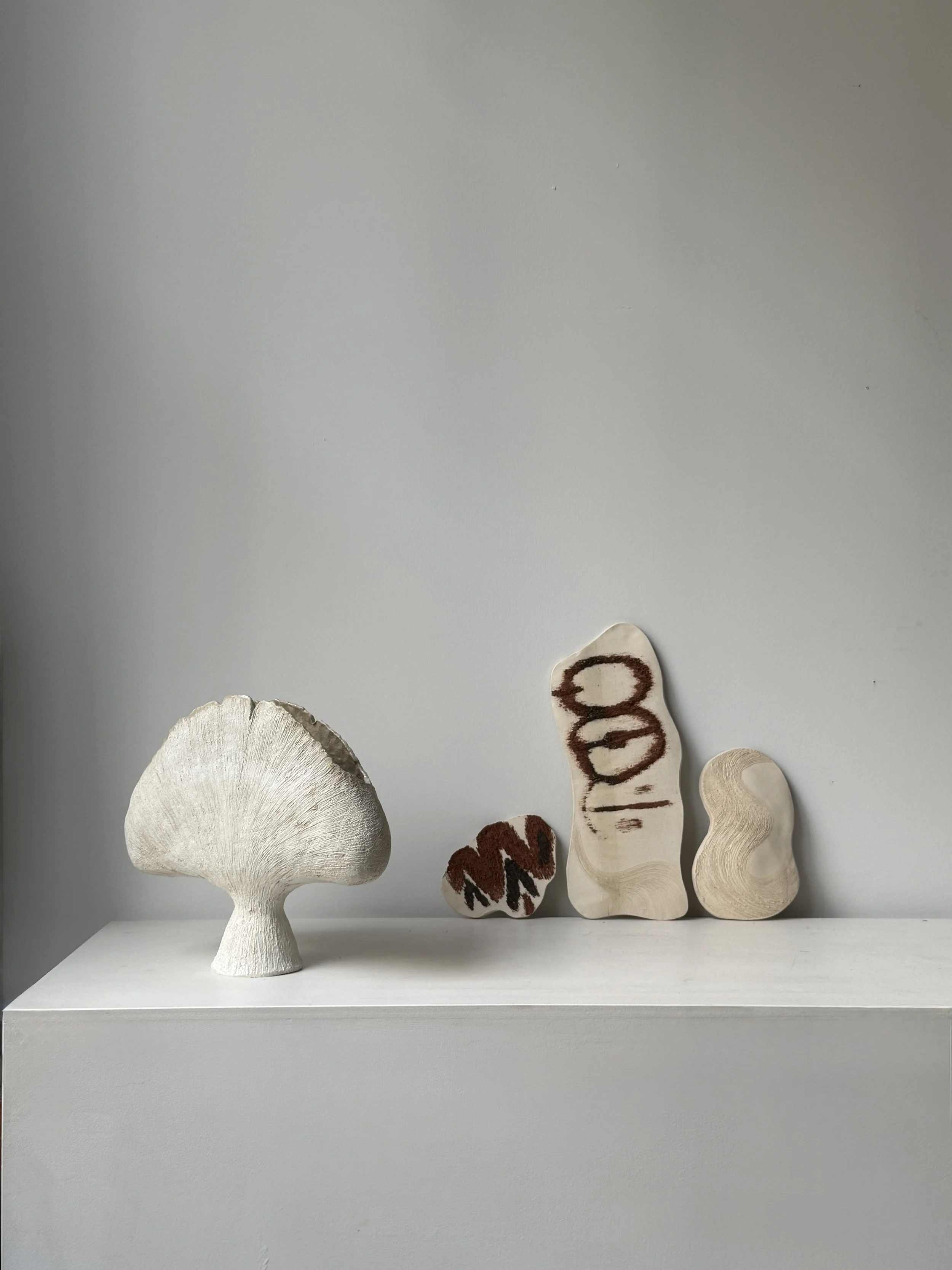 white gingko with 2D tests.jpg