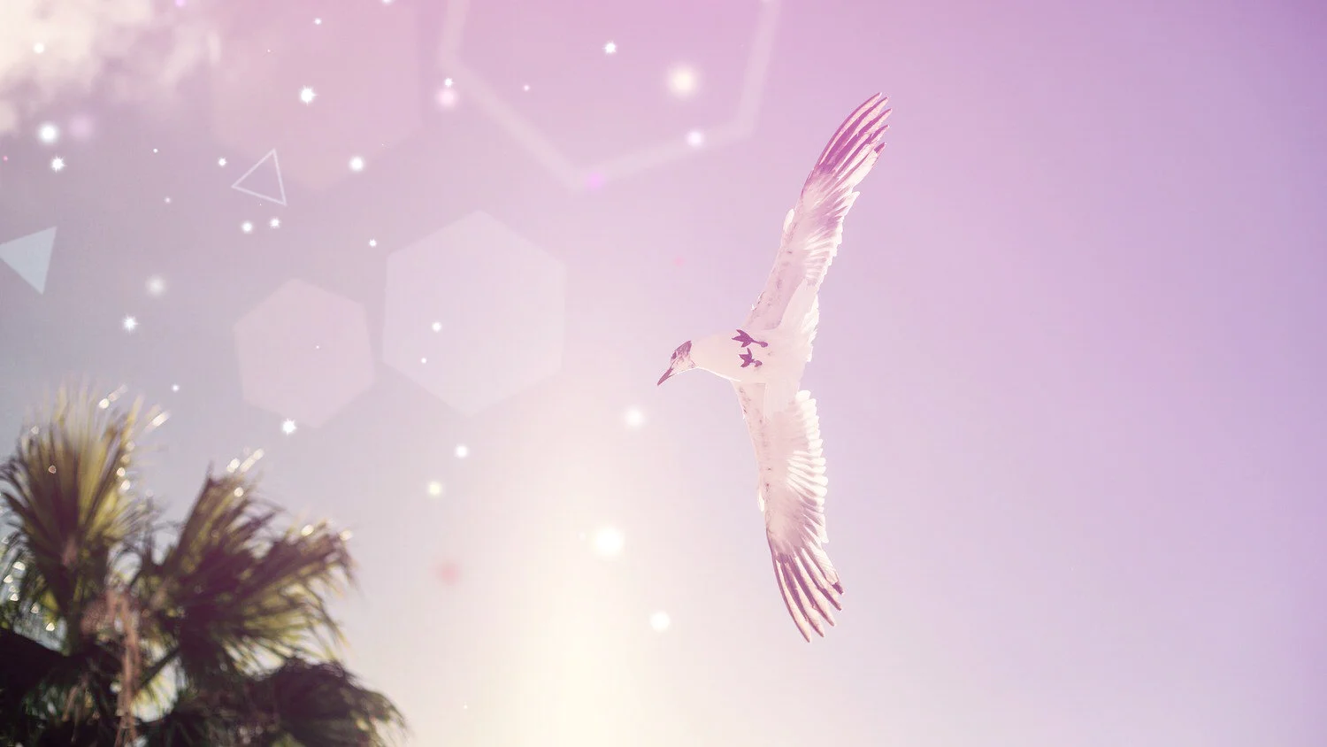 bird+tripping+pink.jpg