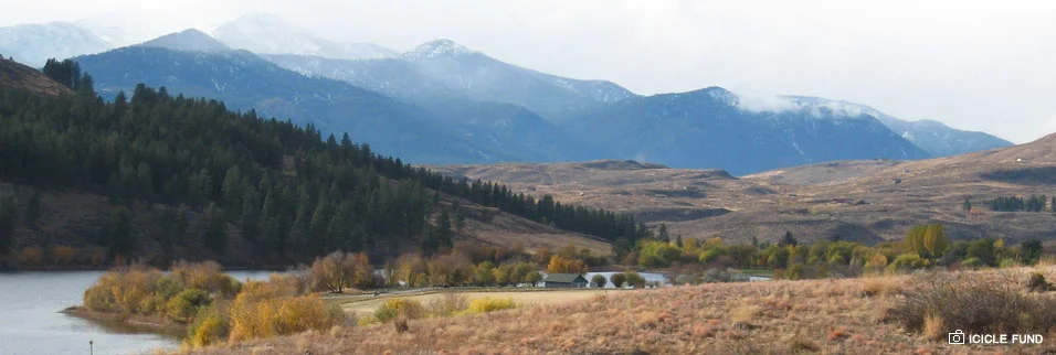 homeheader_pearygin.jpg