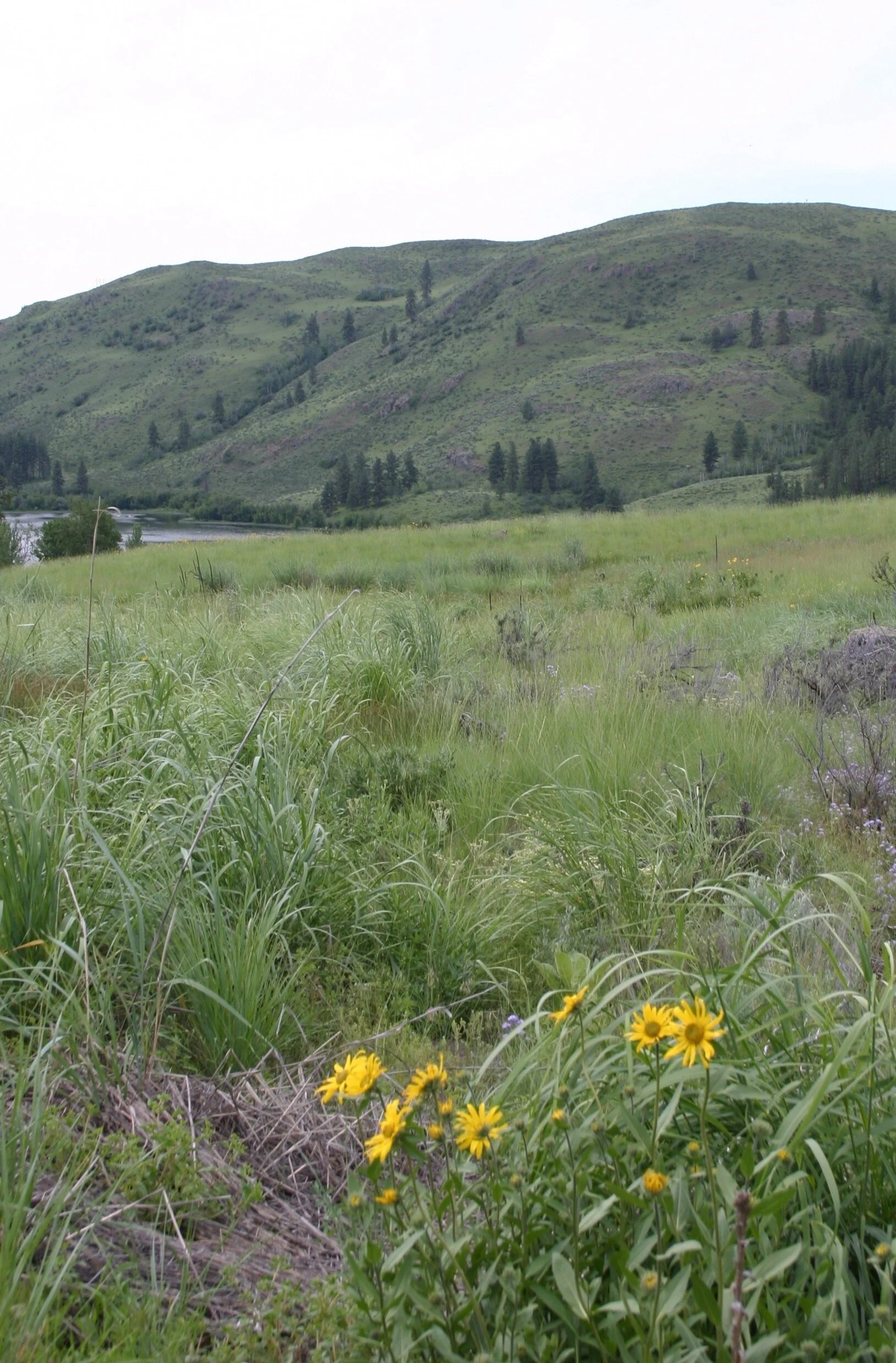 The Trust for Public Land