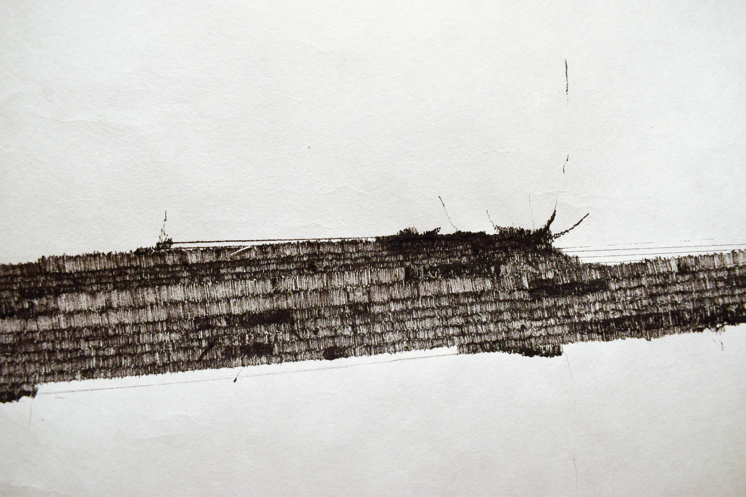 25’x 8’x 3”- River Silt and Rapidograph pens on mulberry paper