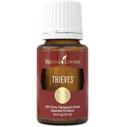 77thieves.jpg