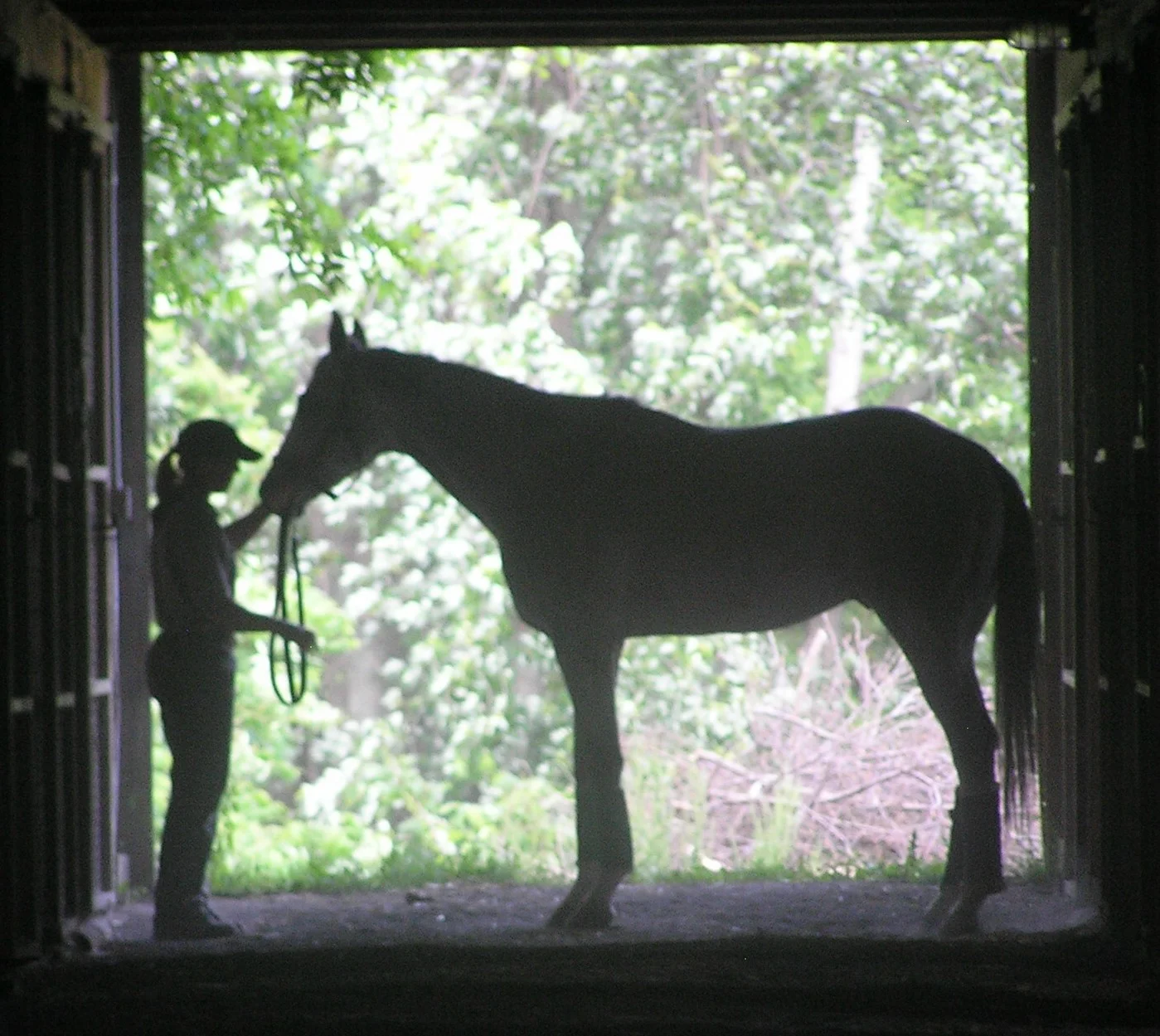 Harry small silouhette.jpg