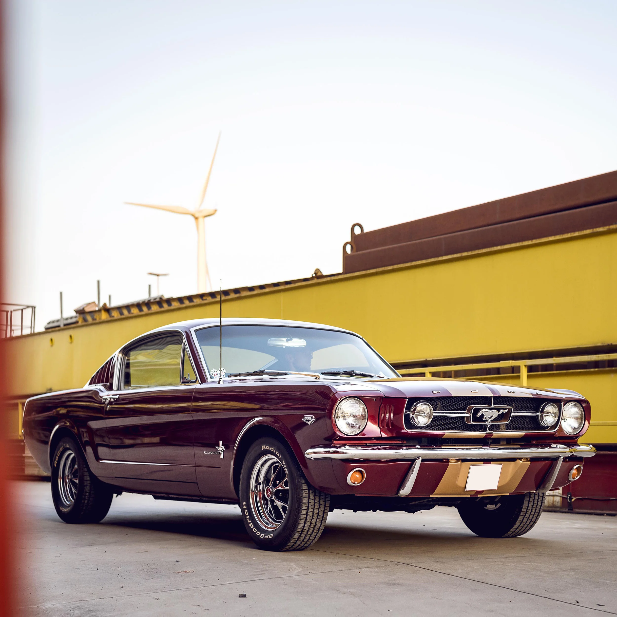 Mustang1.jpg