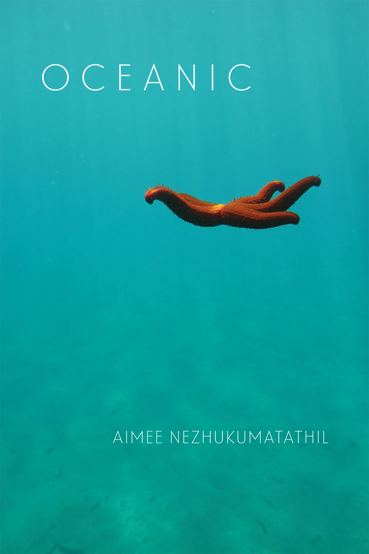 Nezhukumatathil-CBSD-saveforweb copy.jpg