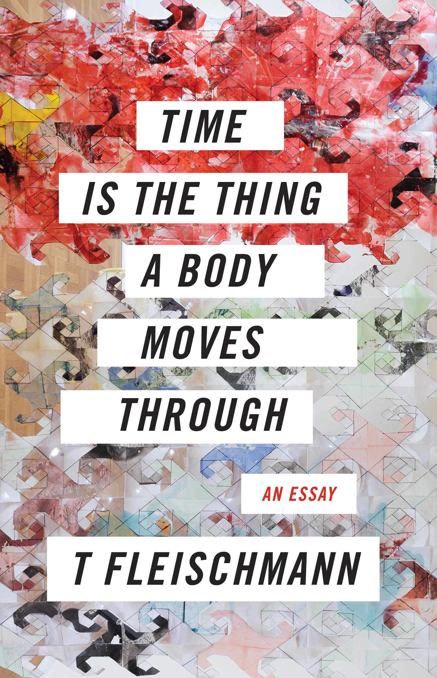 T Fleischmann (author of TIME IS THE THING A BODY MOVES THROUGH) interviewed in Publishers Weekly