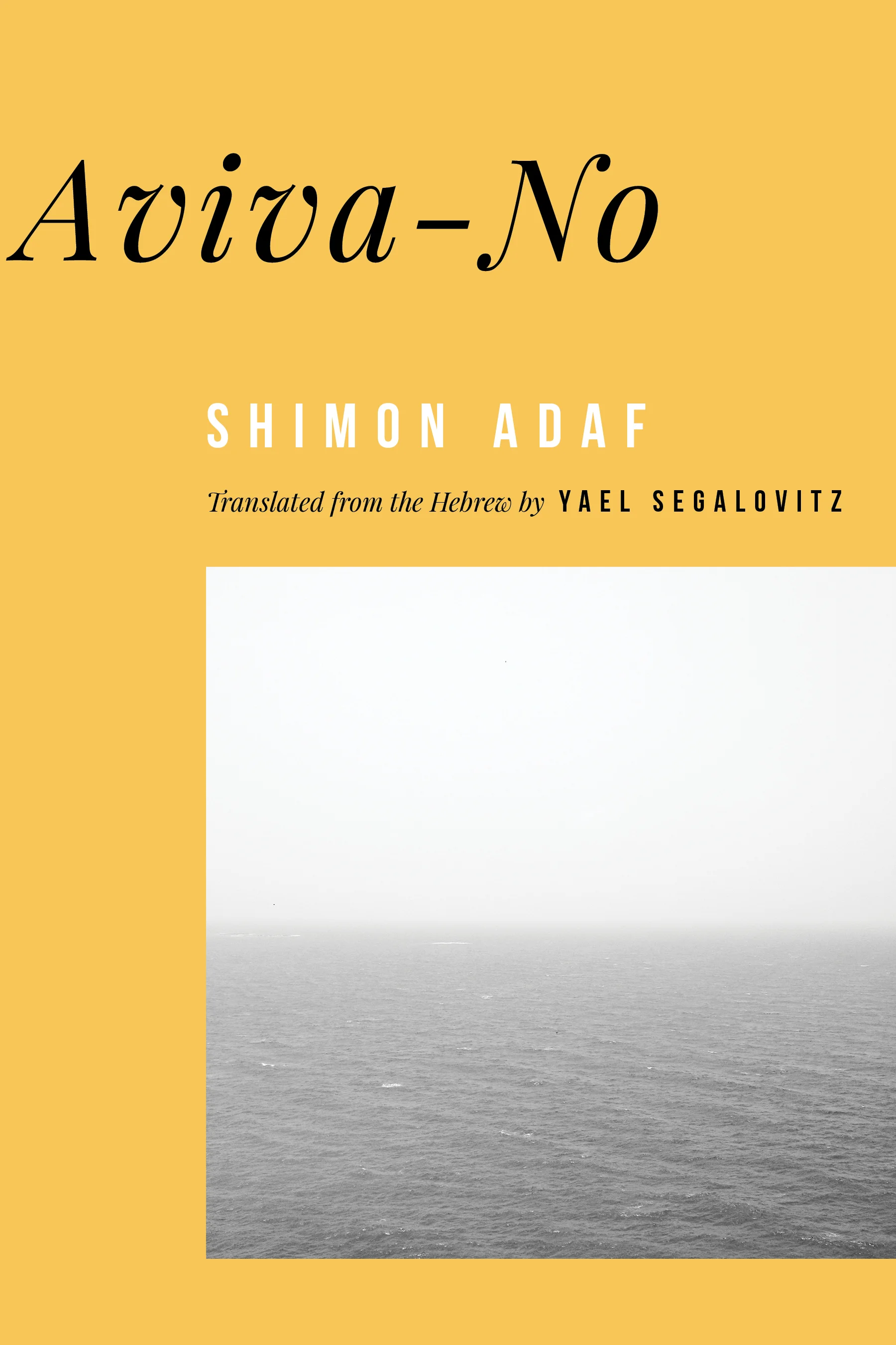 The Millions calls AVIVA-NO by Shimon Adaf a "must-read"