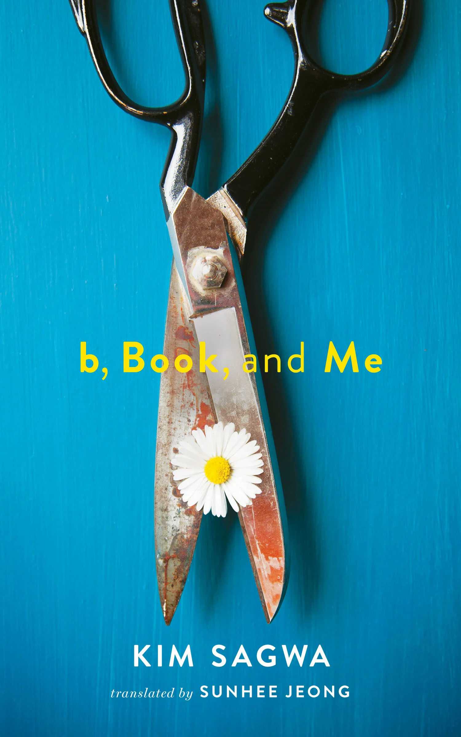 Bookseller praise for B, BOOK, AND ME by Kim Sagwa