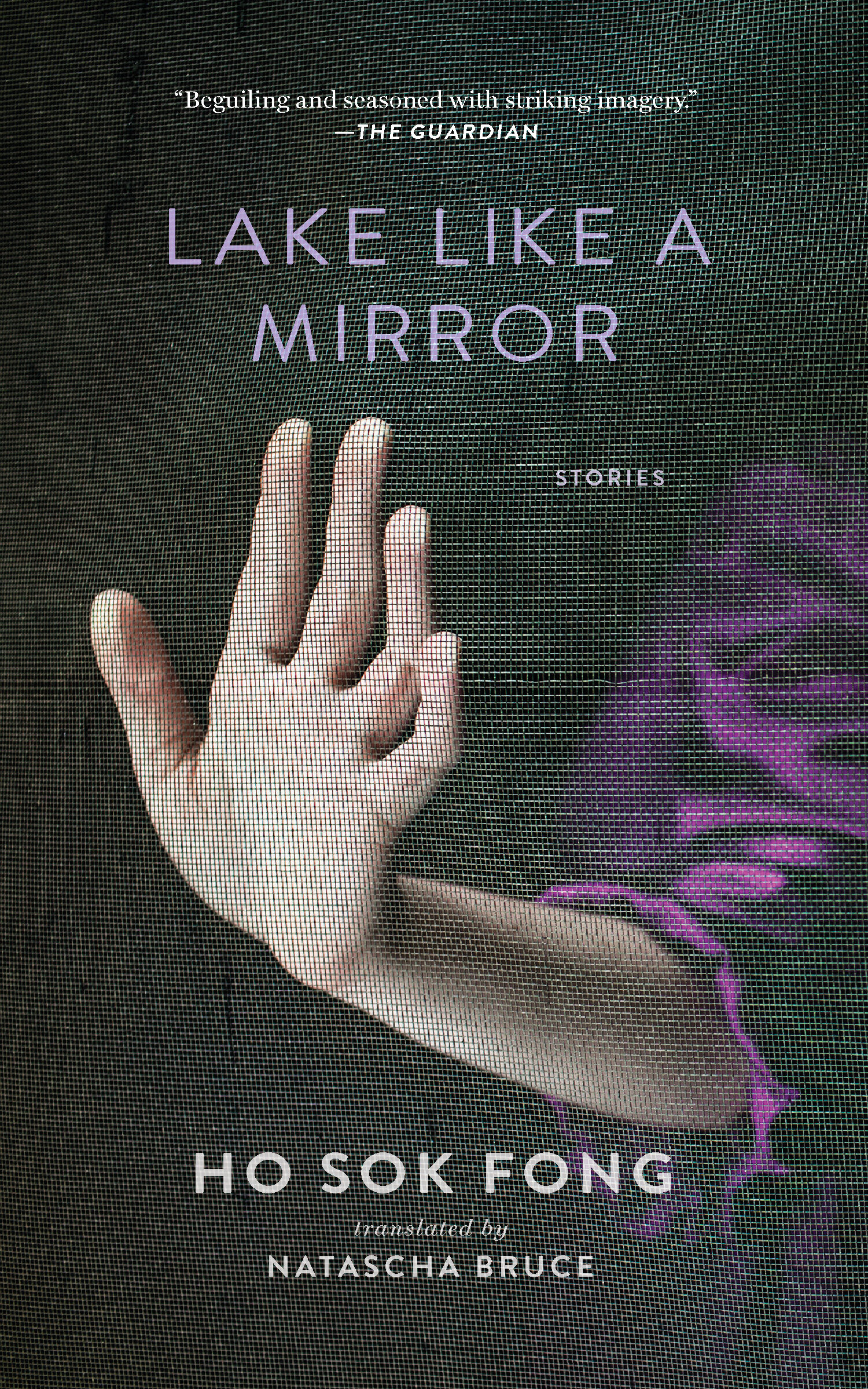 LAKE LIKE A MIRROR one of Lit Hub's most anticipated!