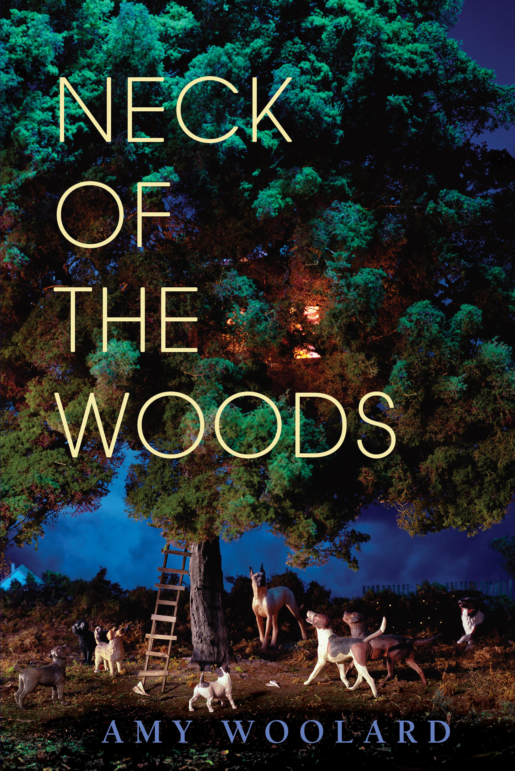 Jericho Brown on Amy Woolard's NECK OF THE WOODS