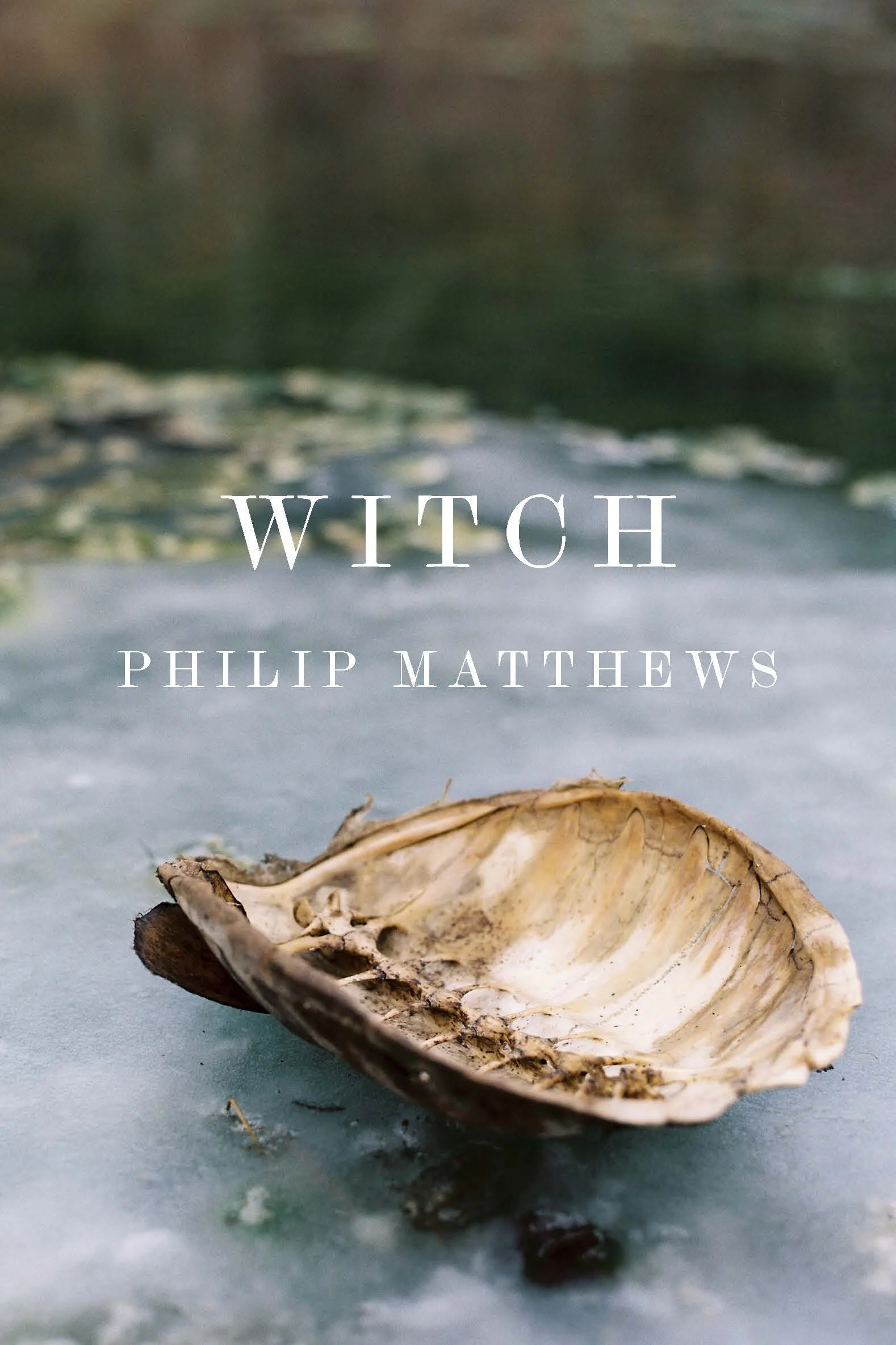 Witch by Philip Matthews will be published May 2020 by Alice James Books
