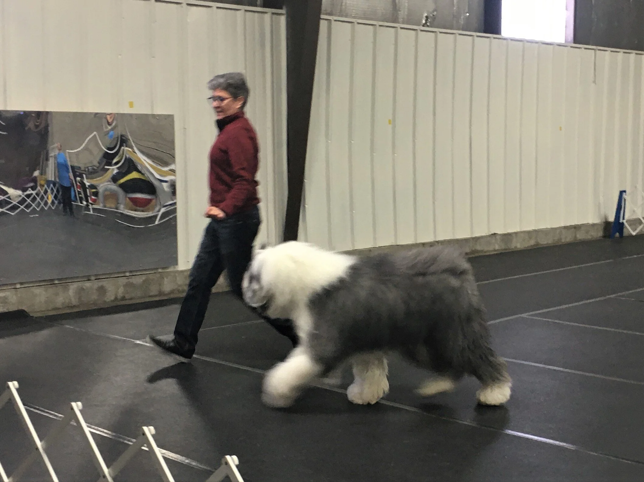 Conformation is...a Performance Sport? — OESCSEW