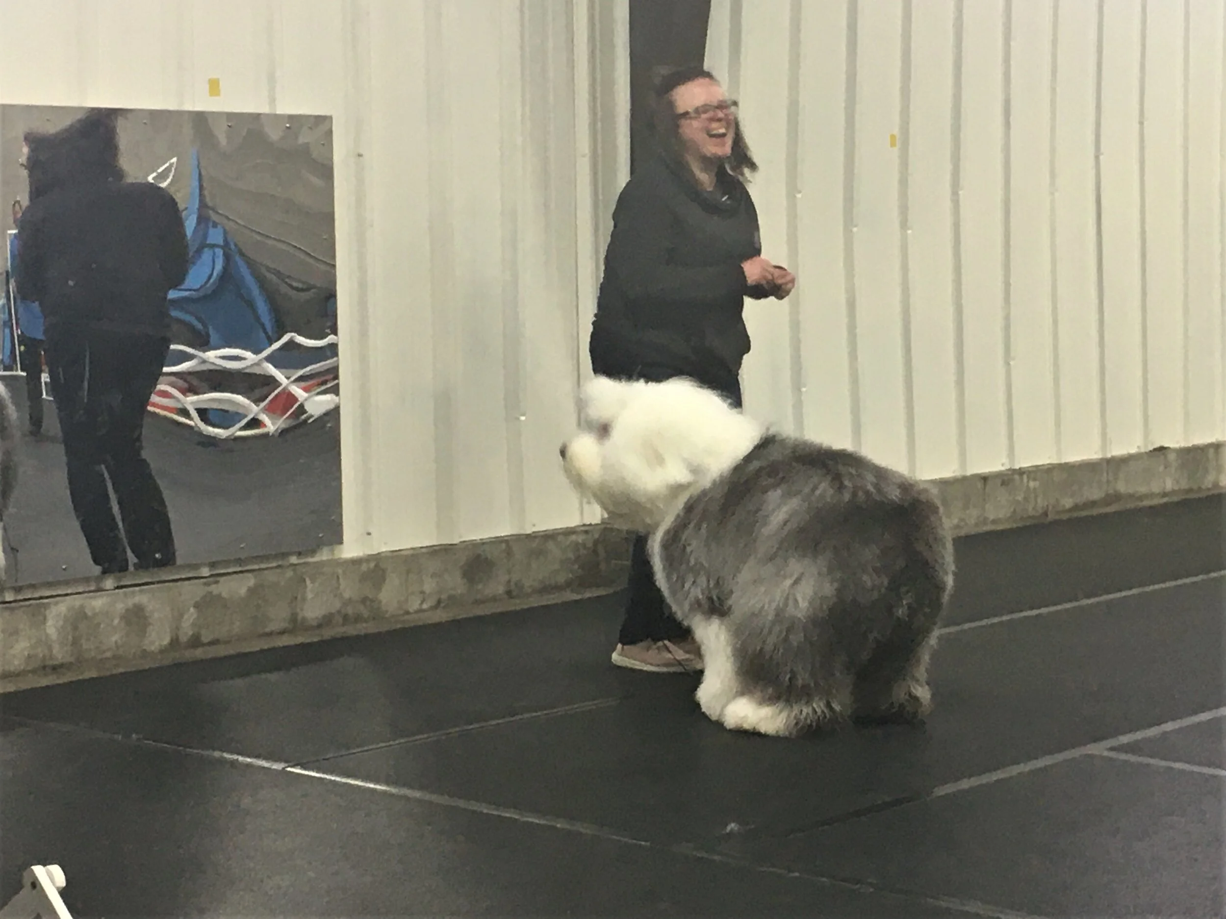 Conformation is...a Performance Sport?