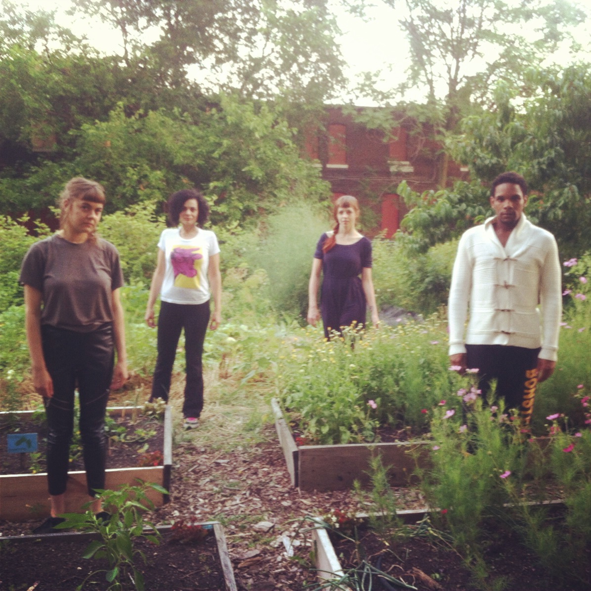 ahop+garden+photo.jpg