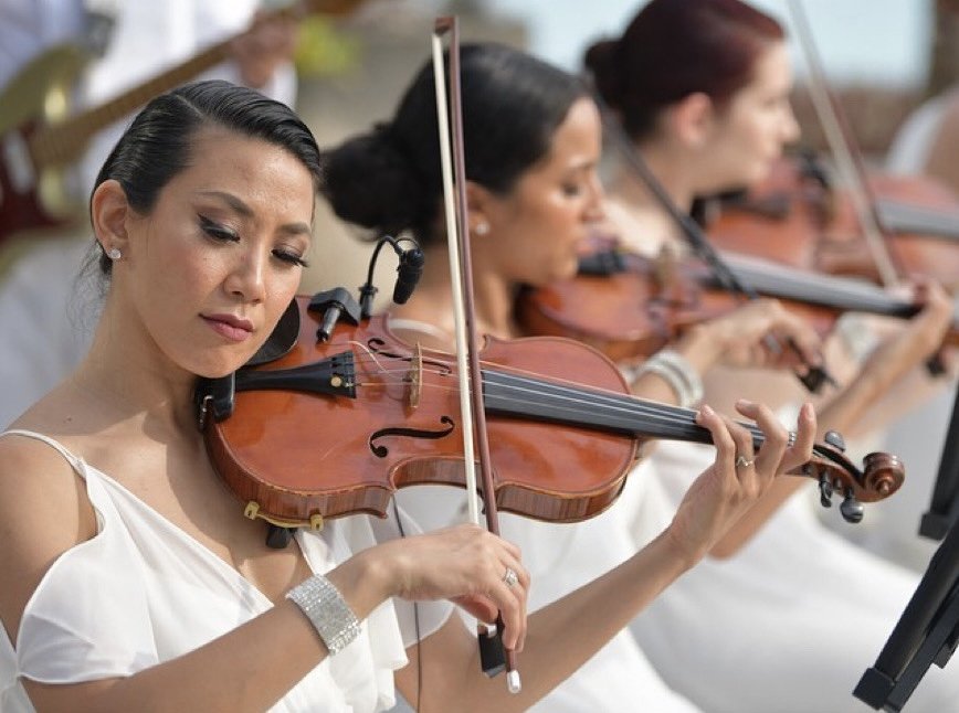Classic White Traditional Violin