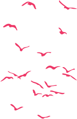 birds pink.png