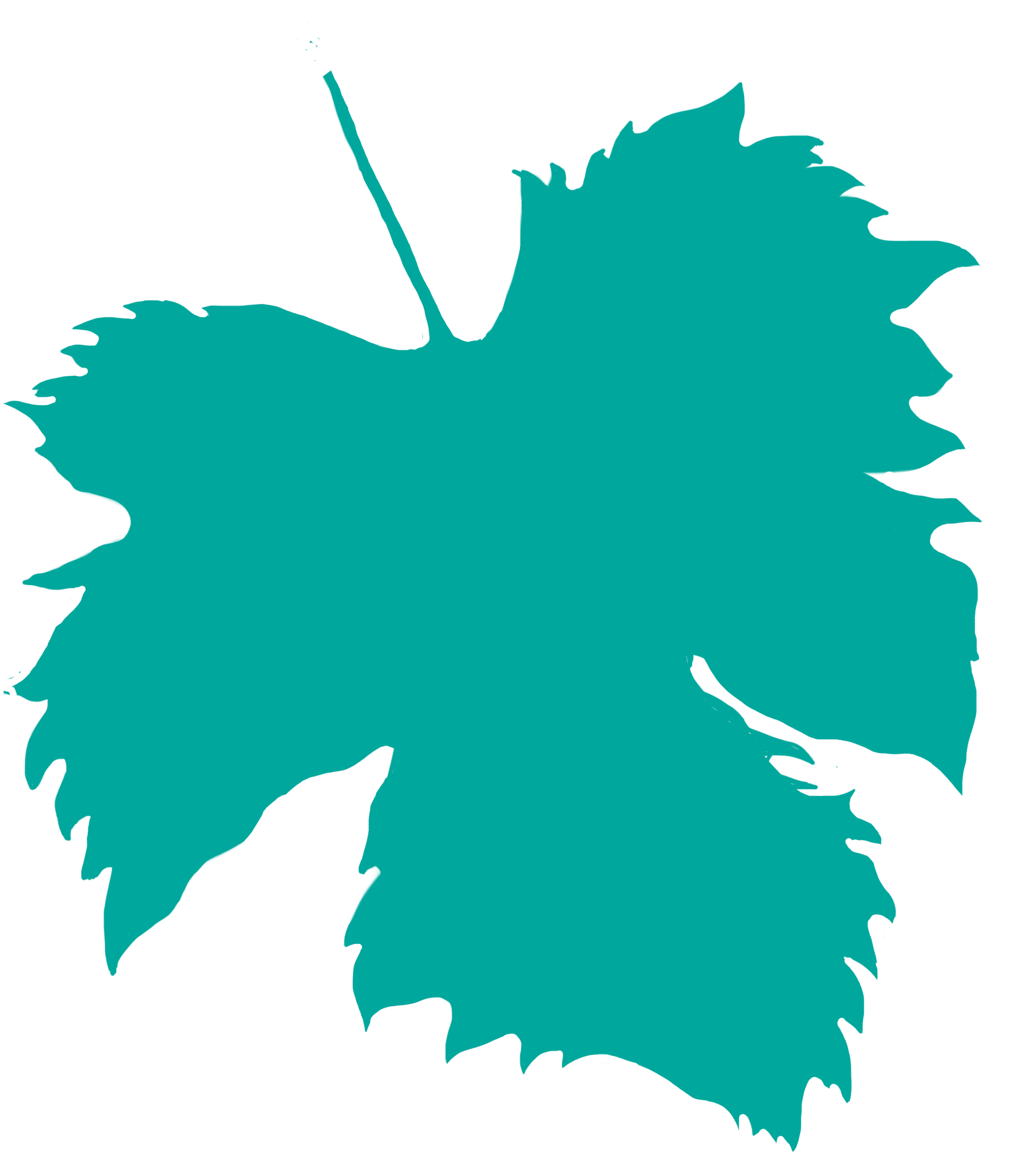 vineleafoutlineturquoise.png
