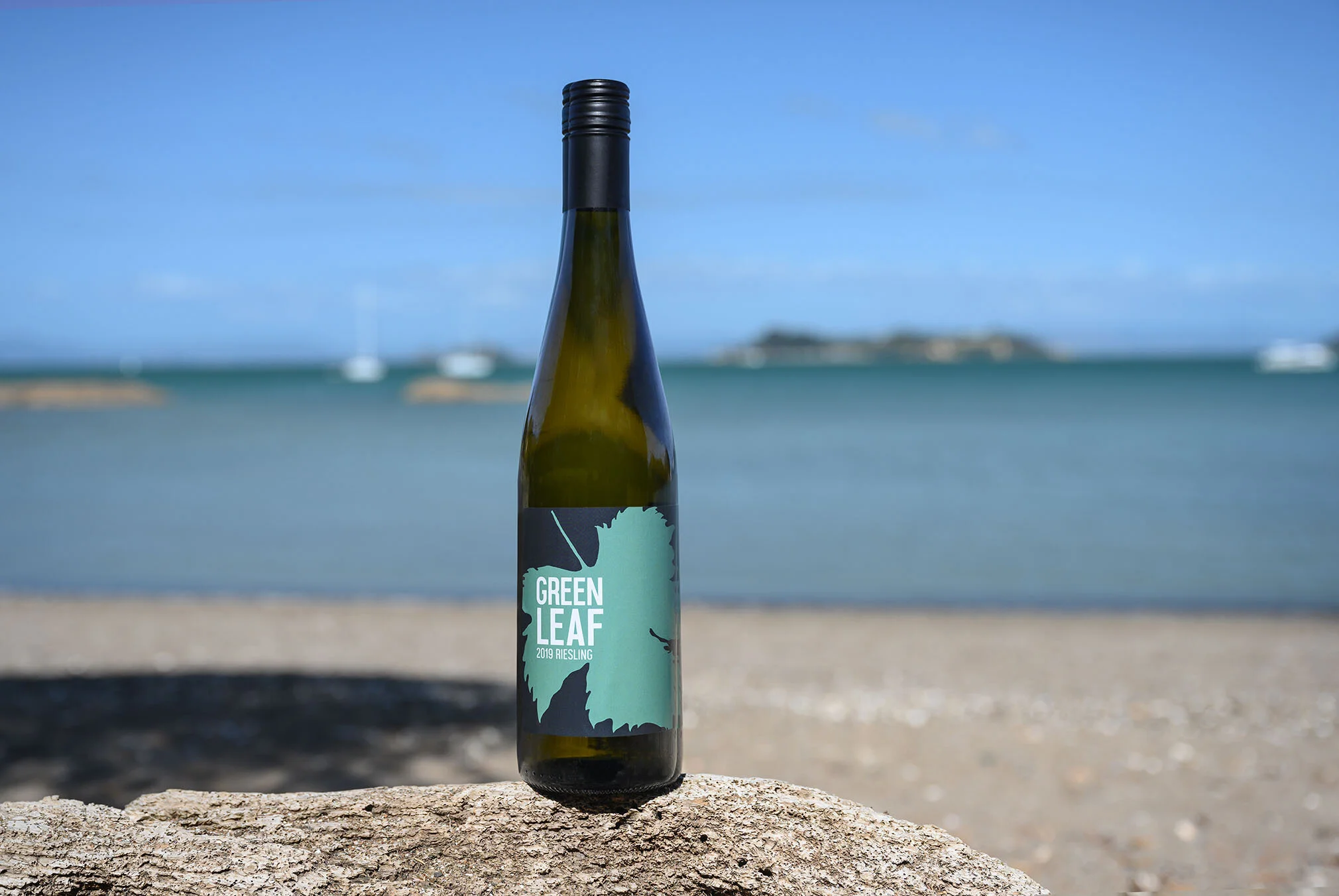 _DSC1105_KF-2 copy.jpg