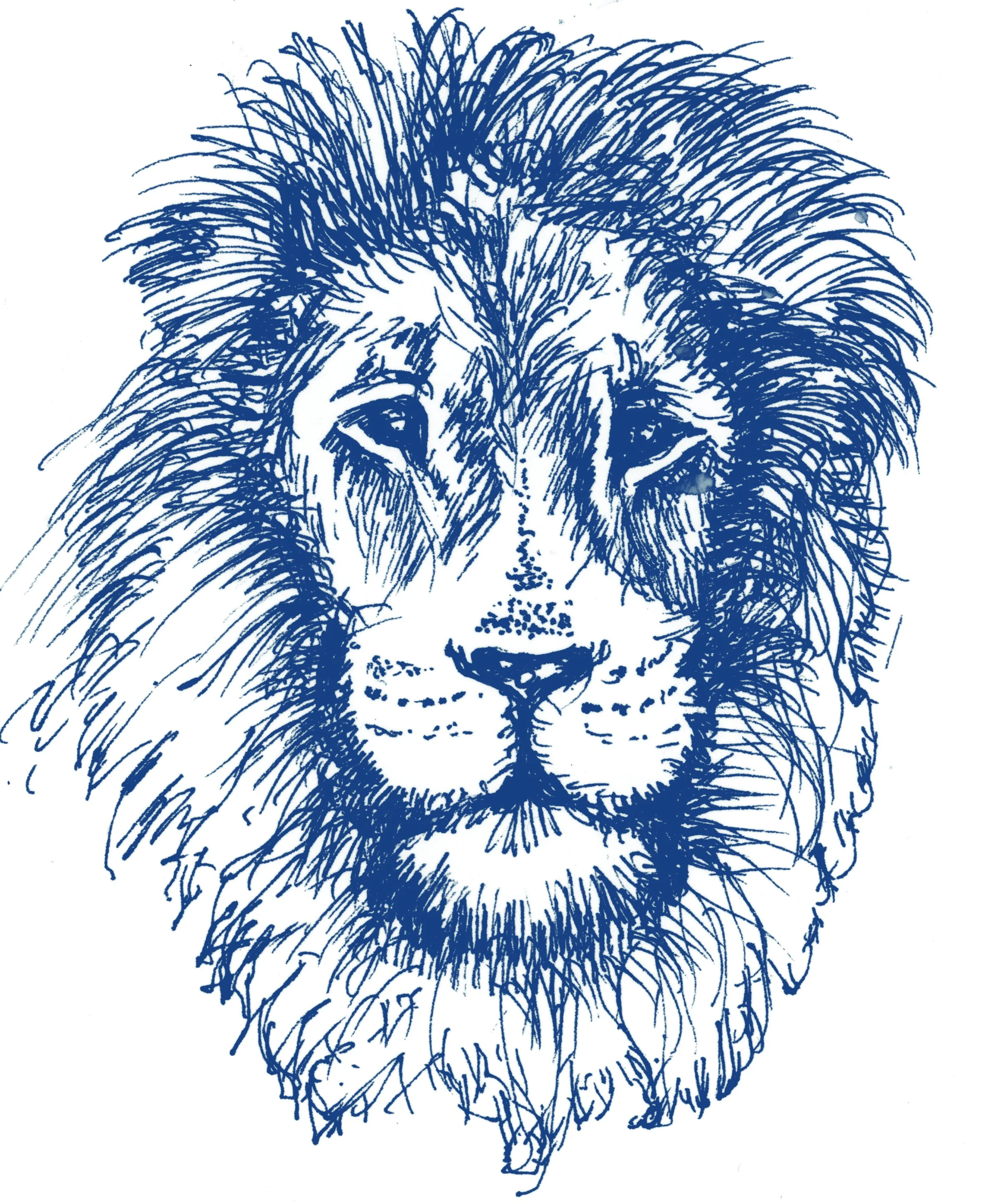 lion.jpg