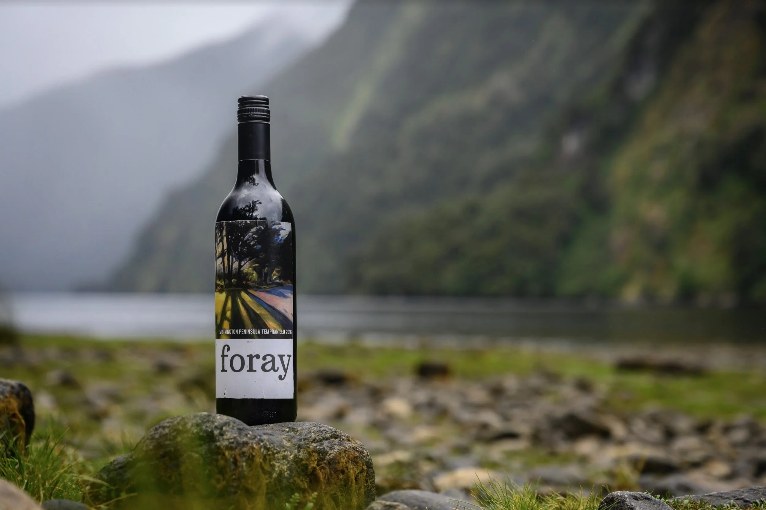 Foray wine shot.jpg