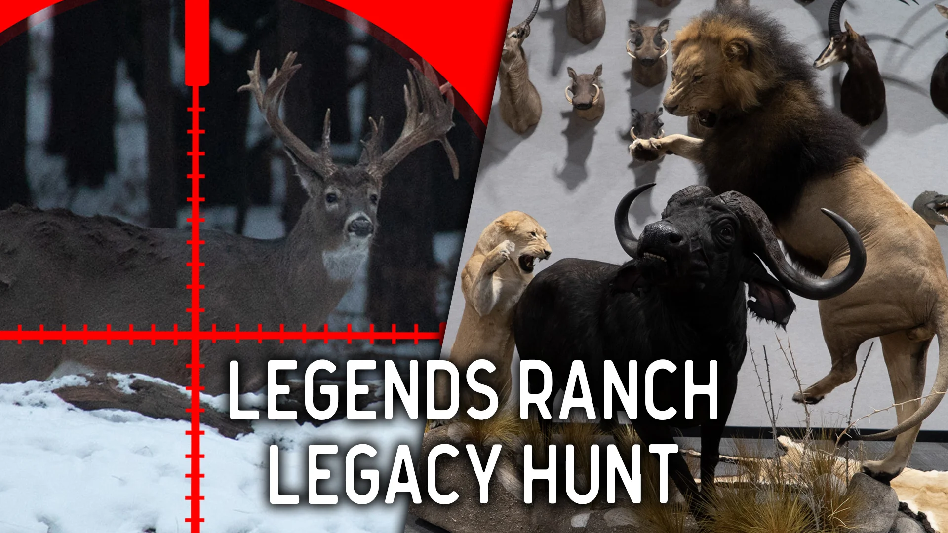 Trophy Buck Hunt Christmas Surprise | Legends Ranch