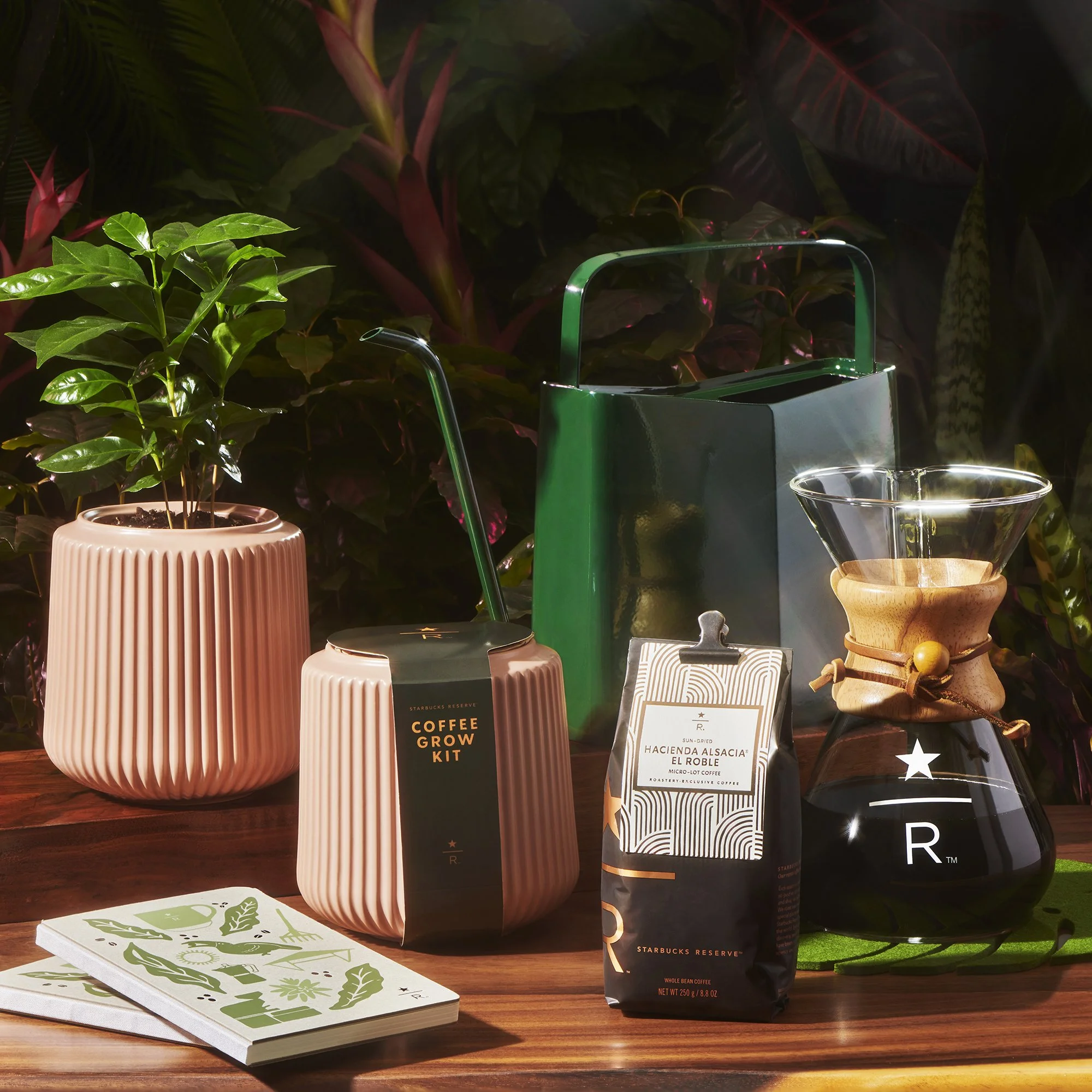 resized-STR-FY24_Spring-Hacienda_Hero-1x1.jpg