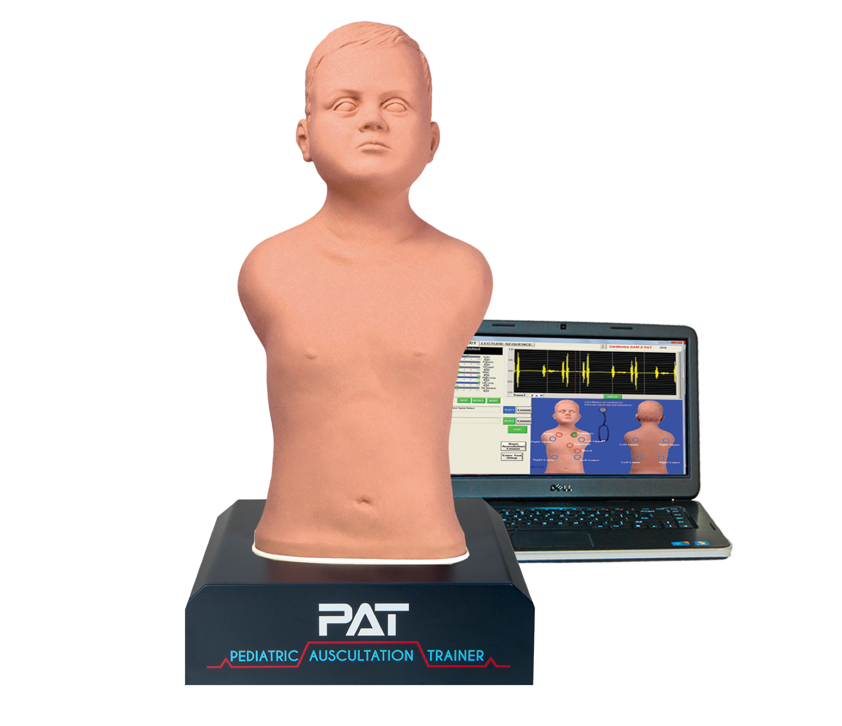 PAT® - Pediatric Auscultation Trainer | Cardionics Learning System