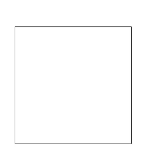 5 x 5