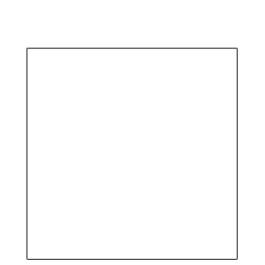 5 x 5