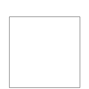 5 x 5