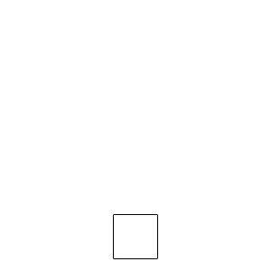 8 x 8