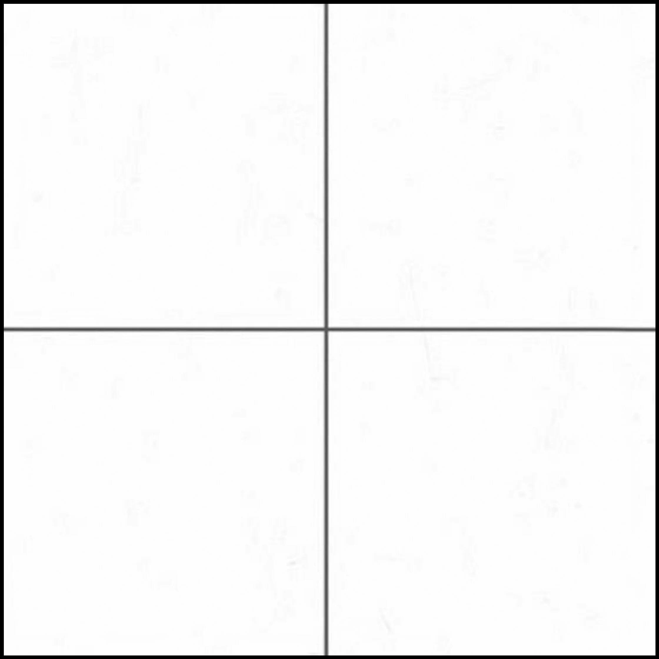 8x8 4 Quads.jpg