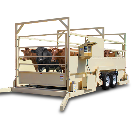 Livestock Scales — American Scale Company