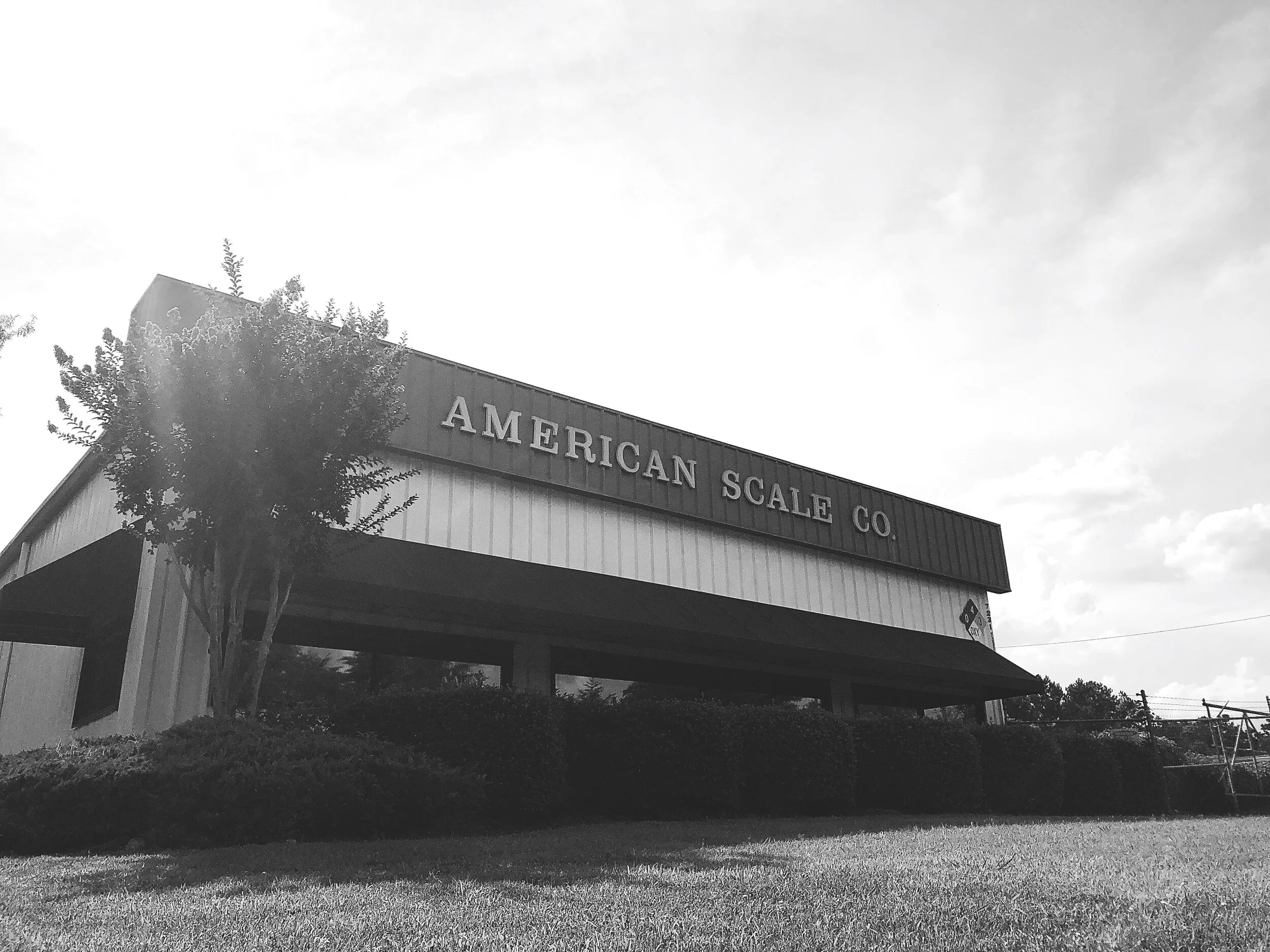 Building Compressed Homepage.JPG