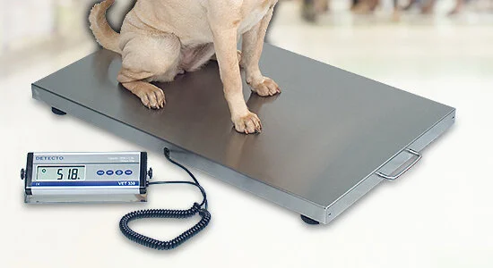 3 Reasons To Calibrate Your Vet Scale — American Scale Company