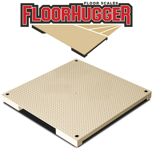 Floor Scales