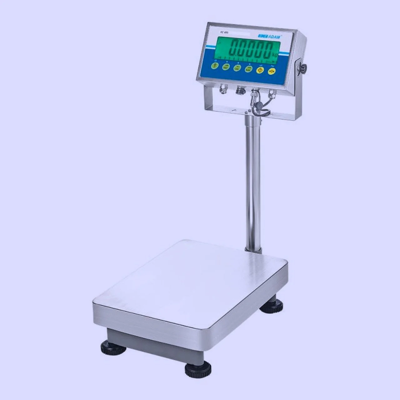 Adam Bench Scale