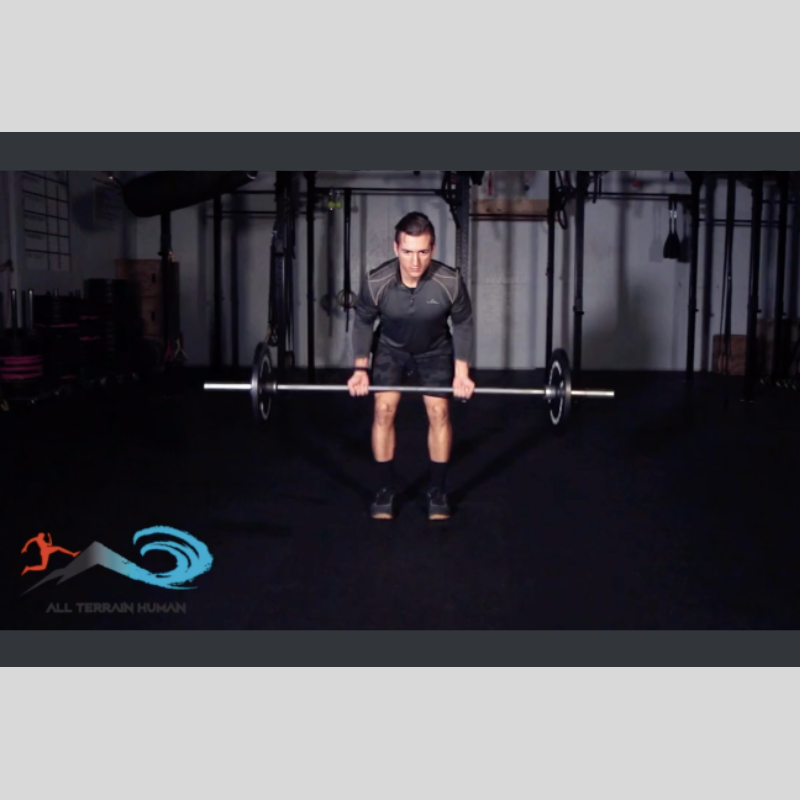 Bent Over Barbell Row Supinated