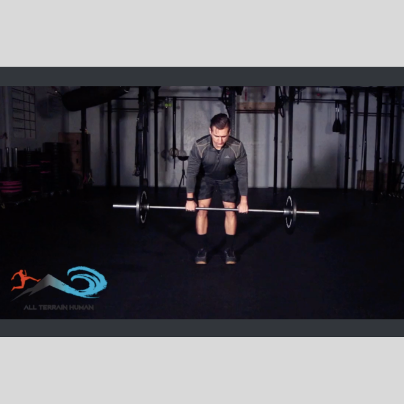 Bent Over Barbell Row Pronated