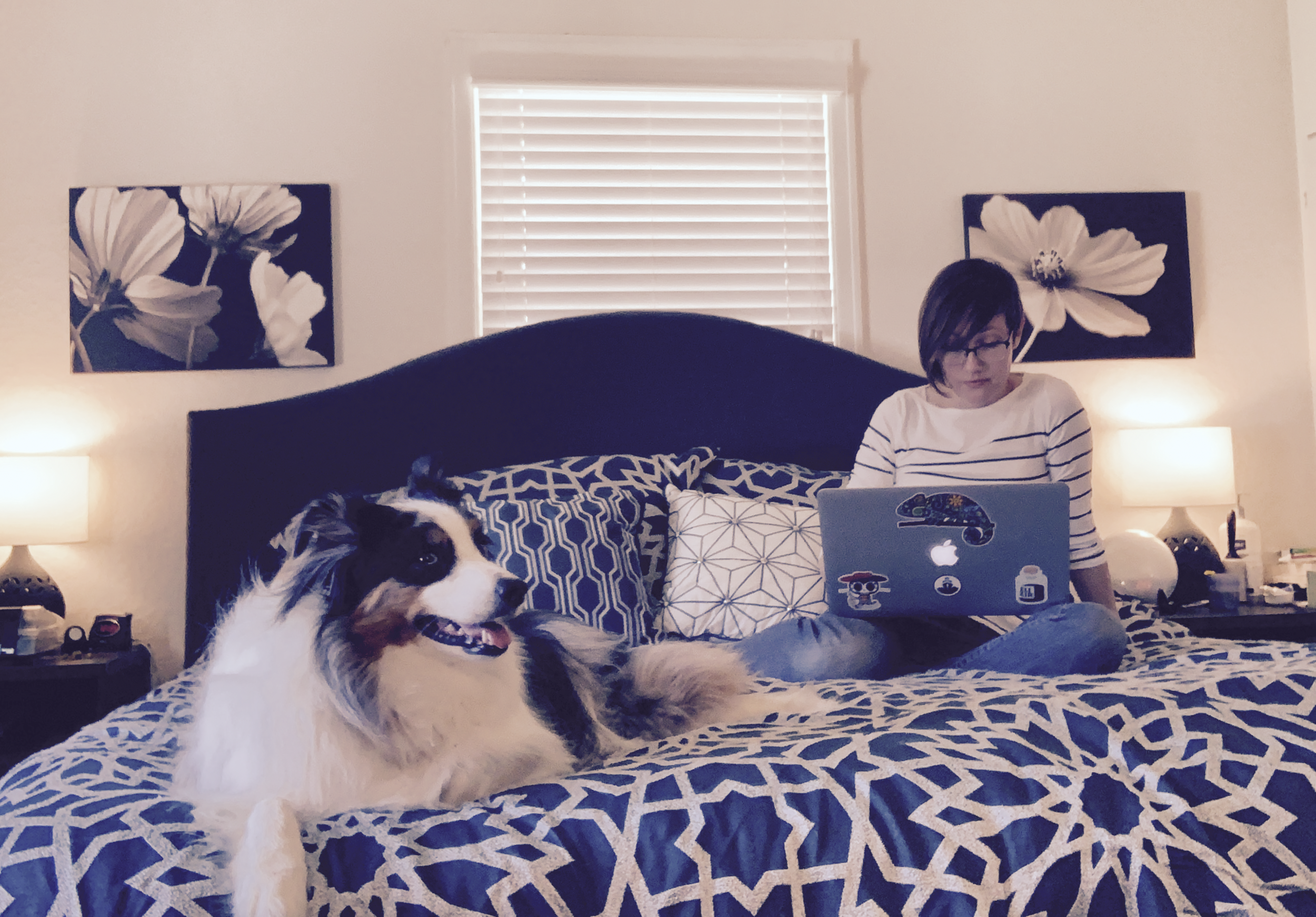 How to make your CV acceptable to GC Licensing Boards