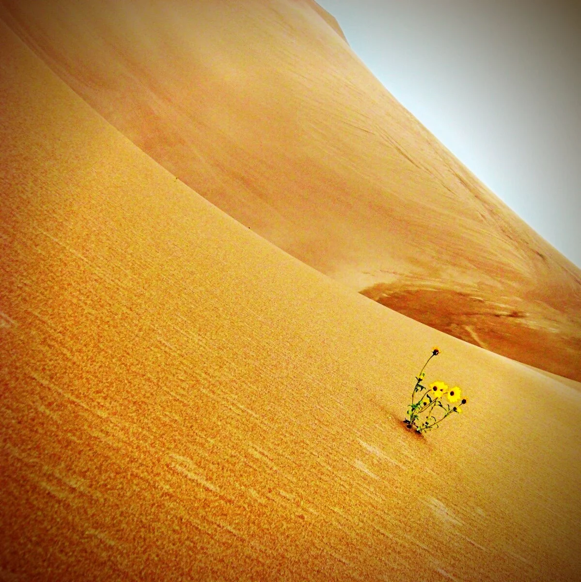 Nothing's worth leaving myself for