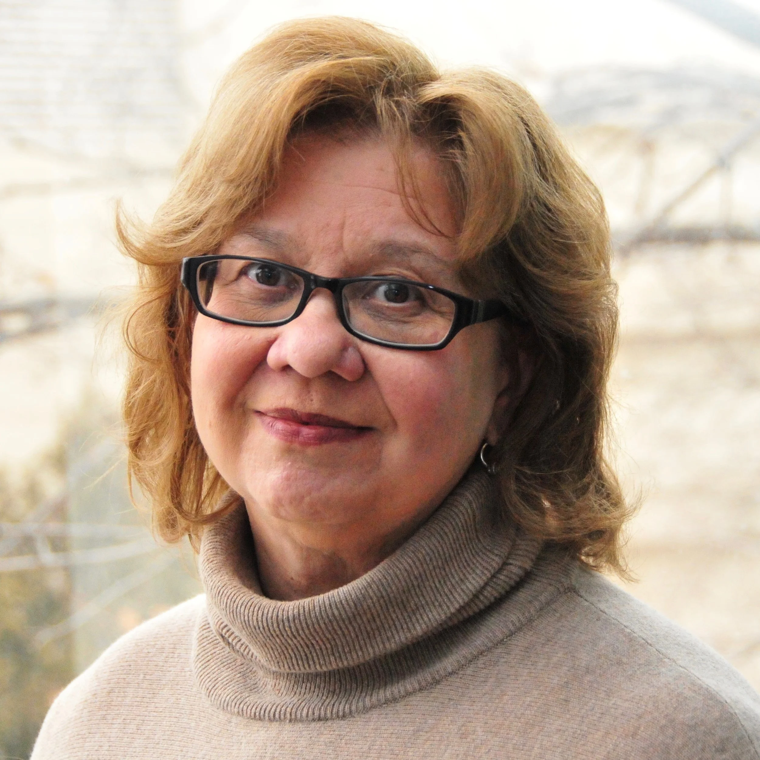 Ellen Wartella, Ph.D., is the Sheik Hamad bin Kalifa Al-thani Professor of Communication Studies at Northwestern University.