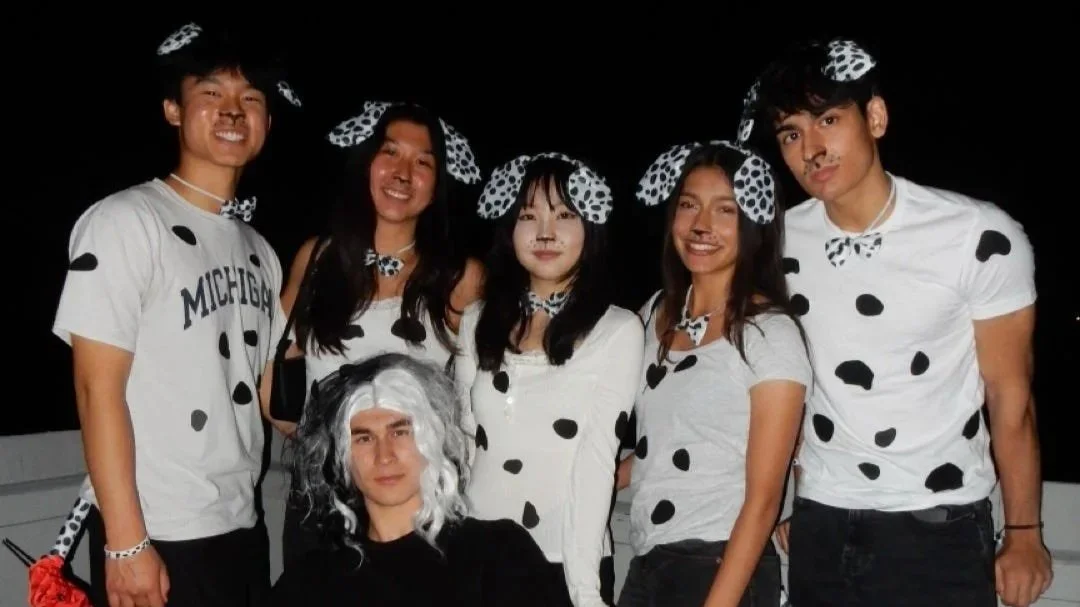 Team Vanguard as 101 Dalmations