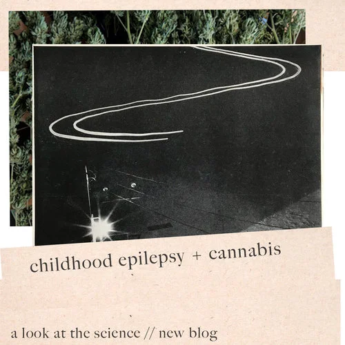 CBD &amp; Epilepsy in Kids: The State of the Science