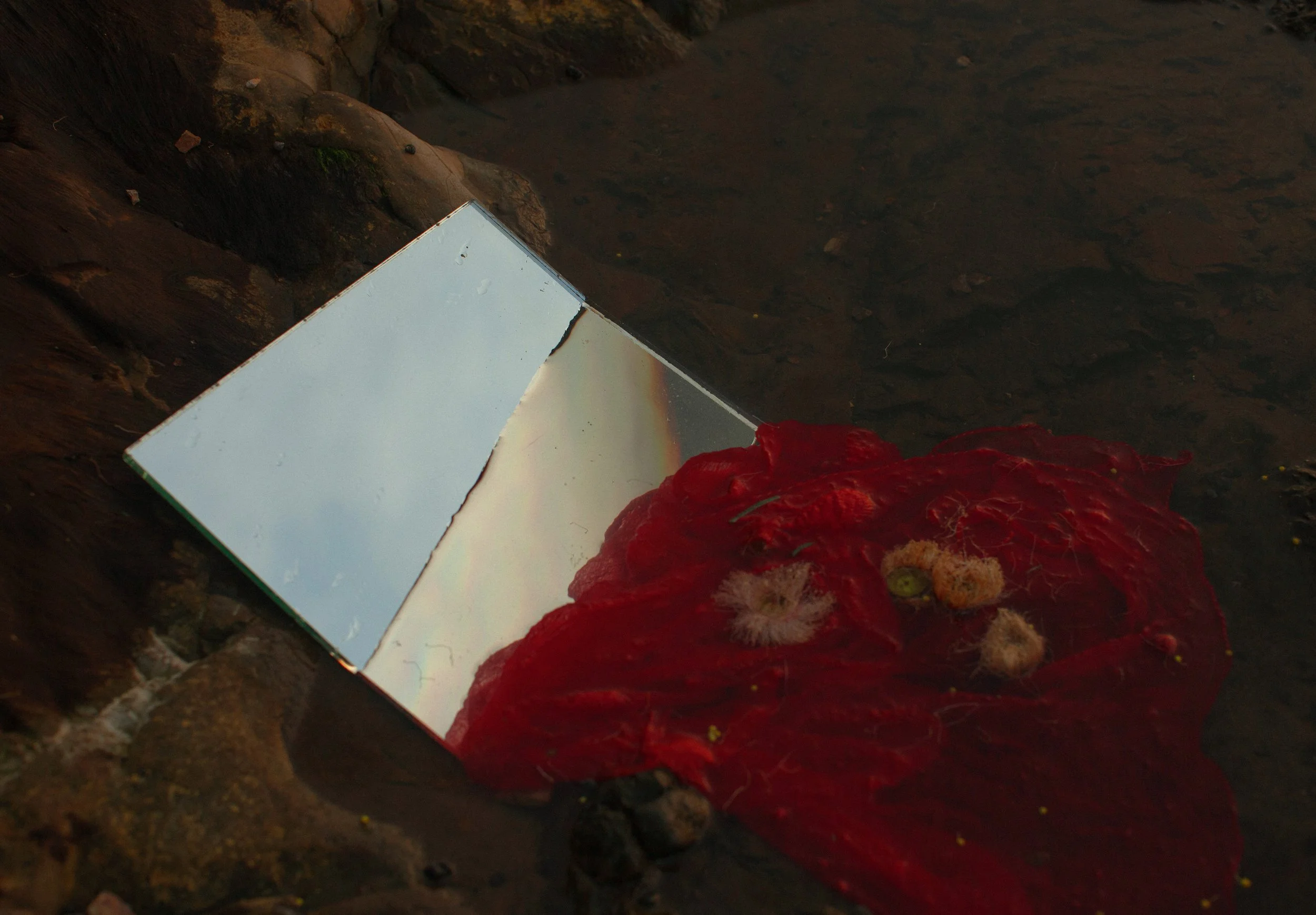 Cannabis, Endometriosis and Women's Health 