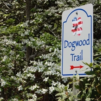 dogwoodtrail9(1).jpg